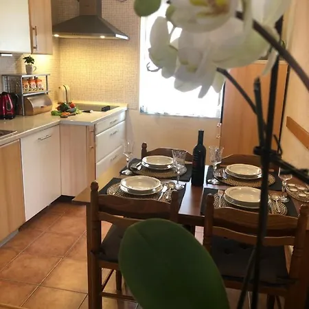 Tortoise 2 Apartman *