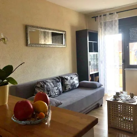 Tortoise 2 * تْسْغيكفانِتْسا