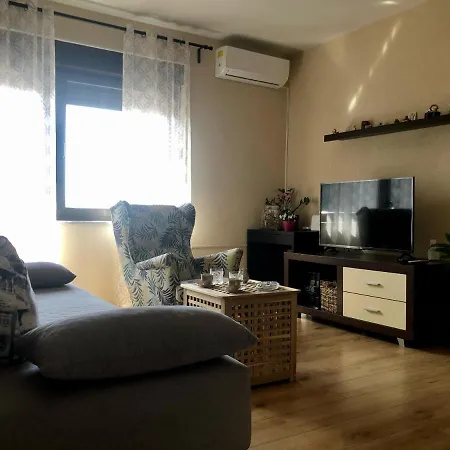 Tortoise 2 * تْسْغيكفانِتْسا