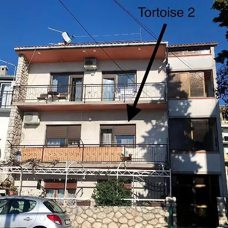 Tortoise 2 Appartement *