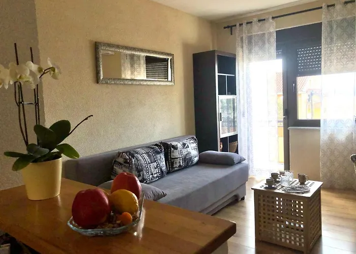 Tortoise 2 * Цриквеница